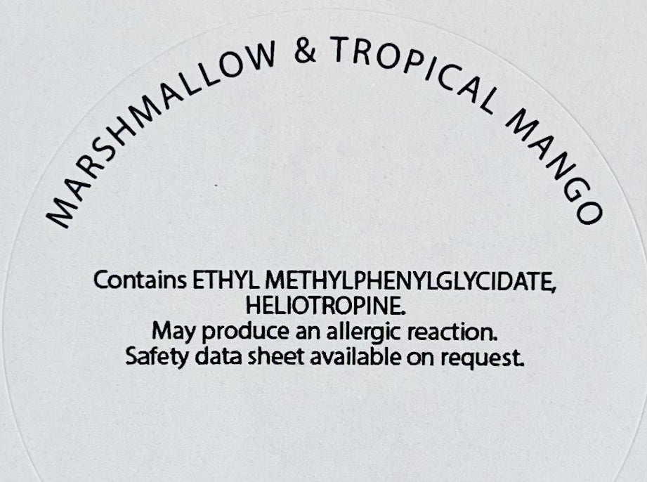 Marshmallow and Tropical Mango Wax Melt Snap Bar
