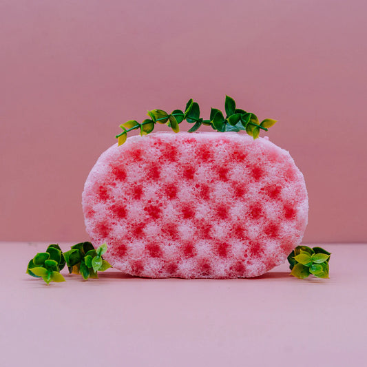 Coconut Soap Sponge