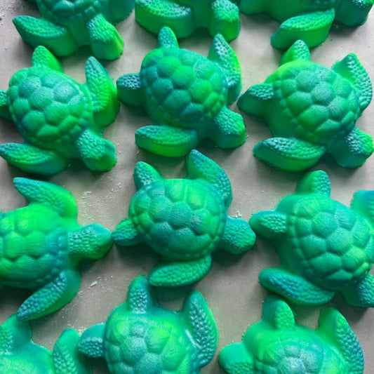 Turtle Bath Bomb