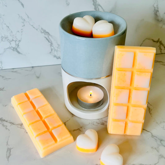 Marshmallow and Tropical Mango Wax Melt Snap Bar