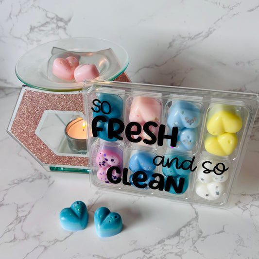 Fresh and Clean Wax Melts Selection Box
