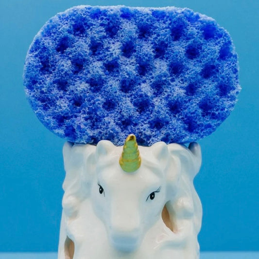 Juicy Fruity Bubblegum Soap Sponge
