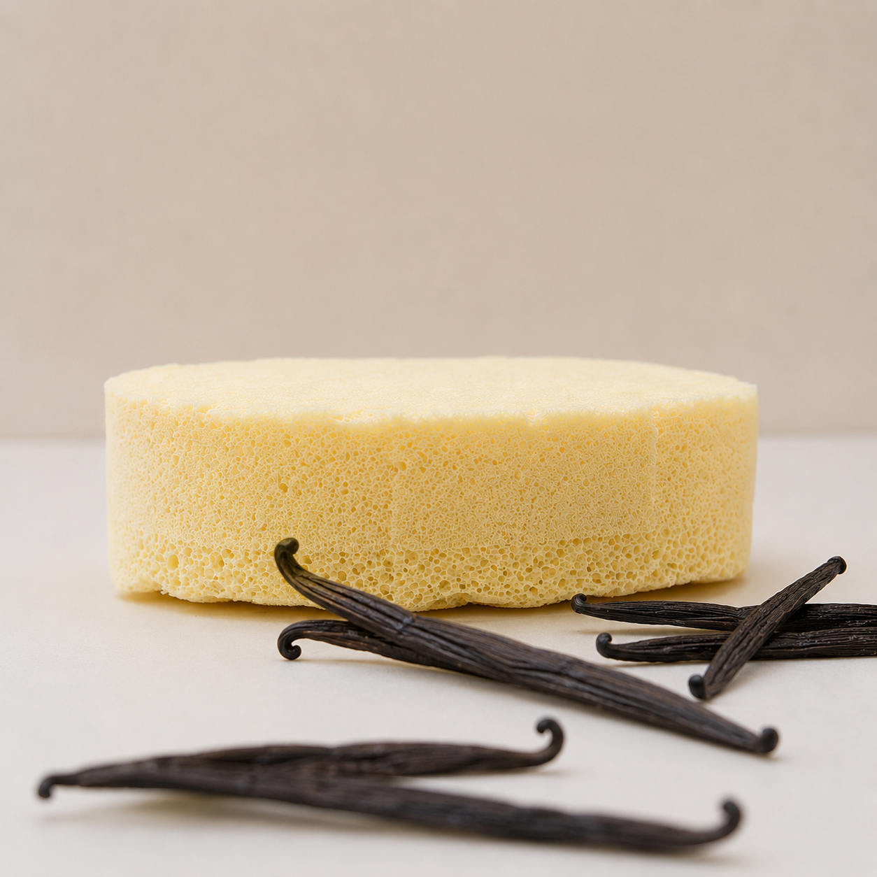 Vanilla Soap Sponge