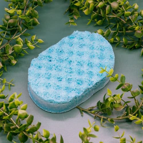 Squeaky Clean (Dettol Dupe) Soap Sponge