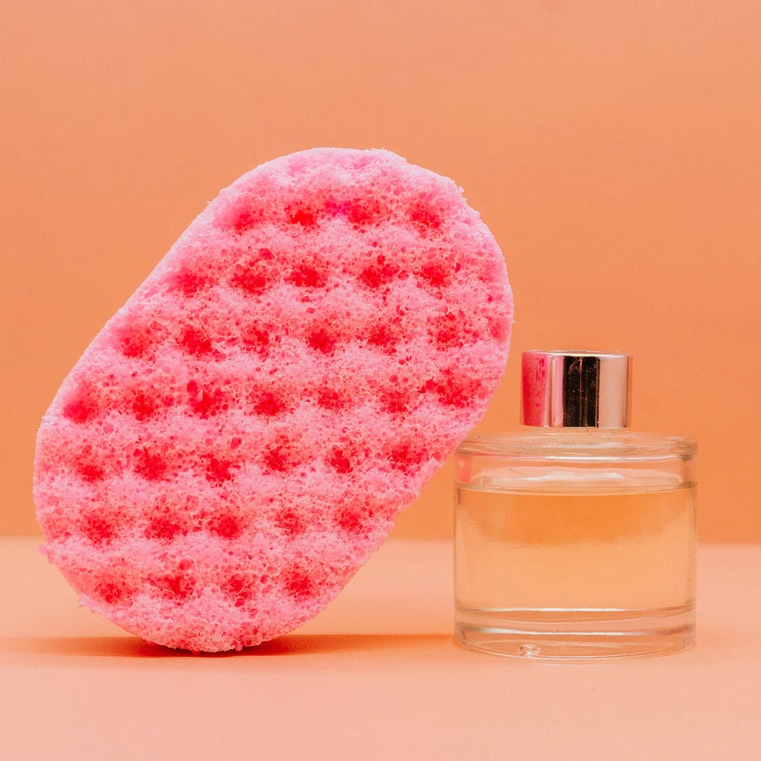 Contradiction Paradox Soap Sponge