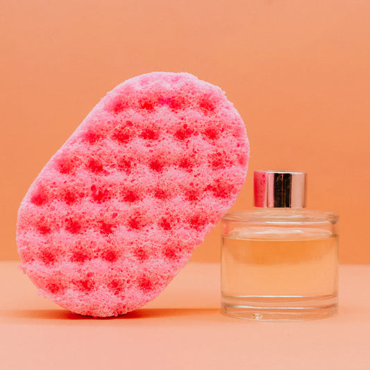 Contradiction Paradox Soap Sponge